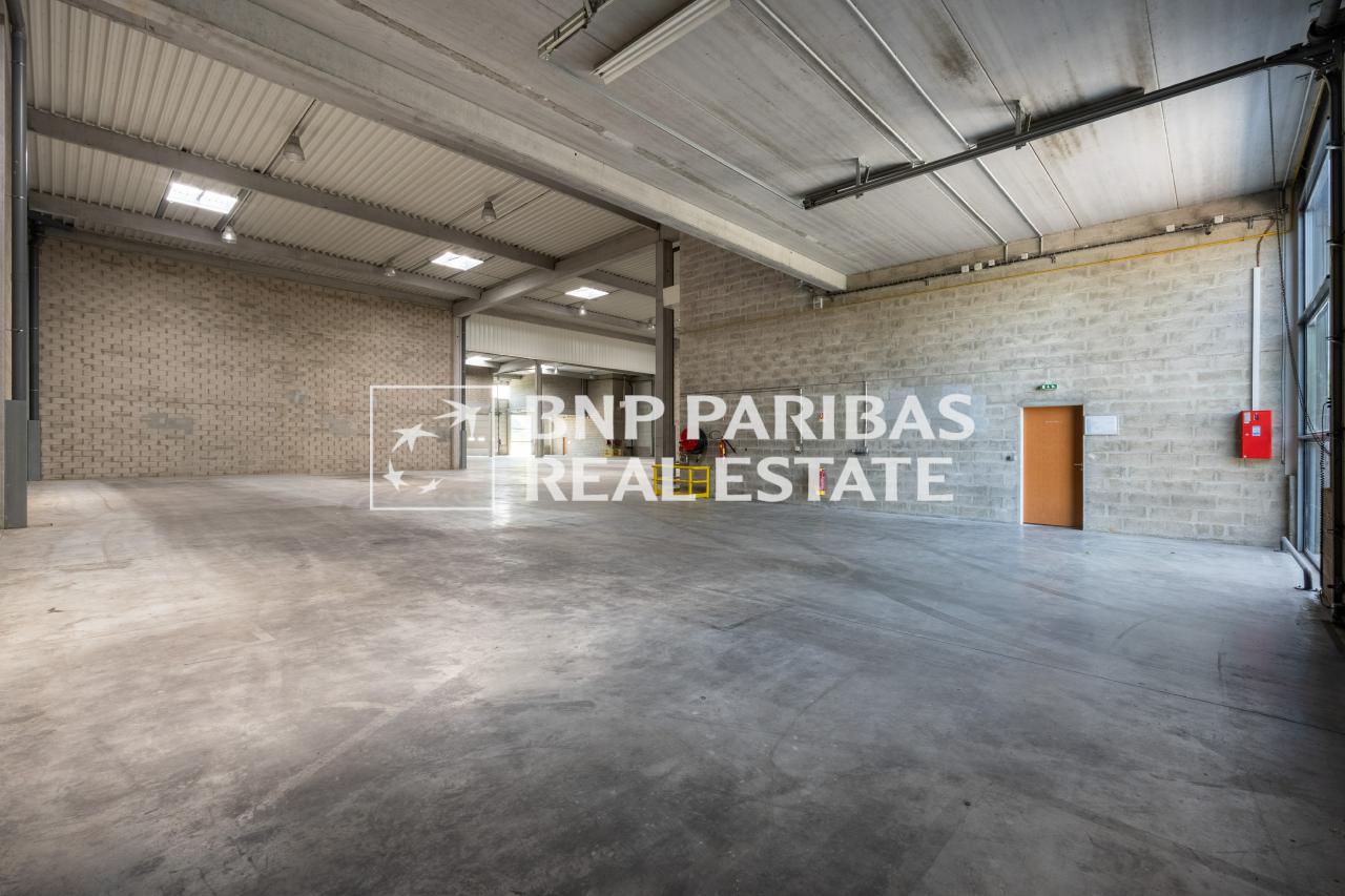 Local d'activité Élancourt 534m² Location local d'activité Élancourt Yvelines OLACT2318123 2